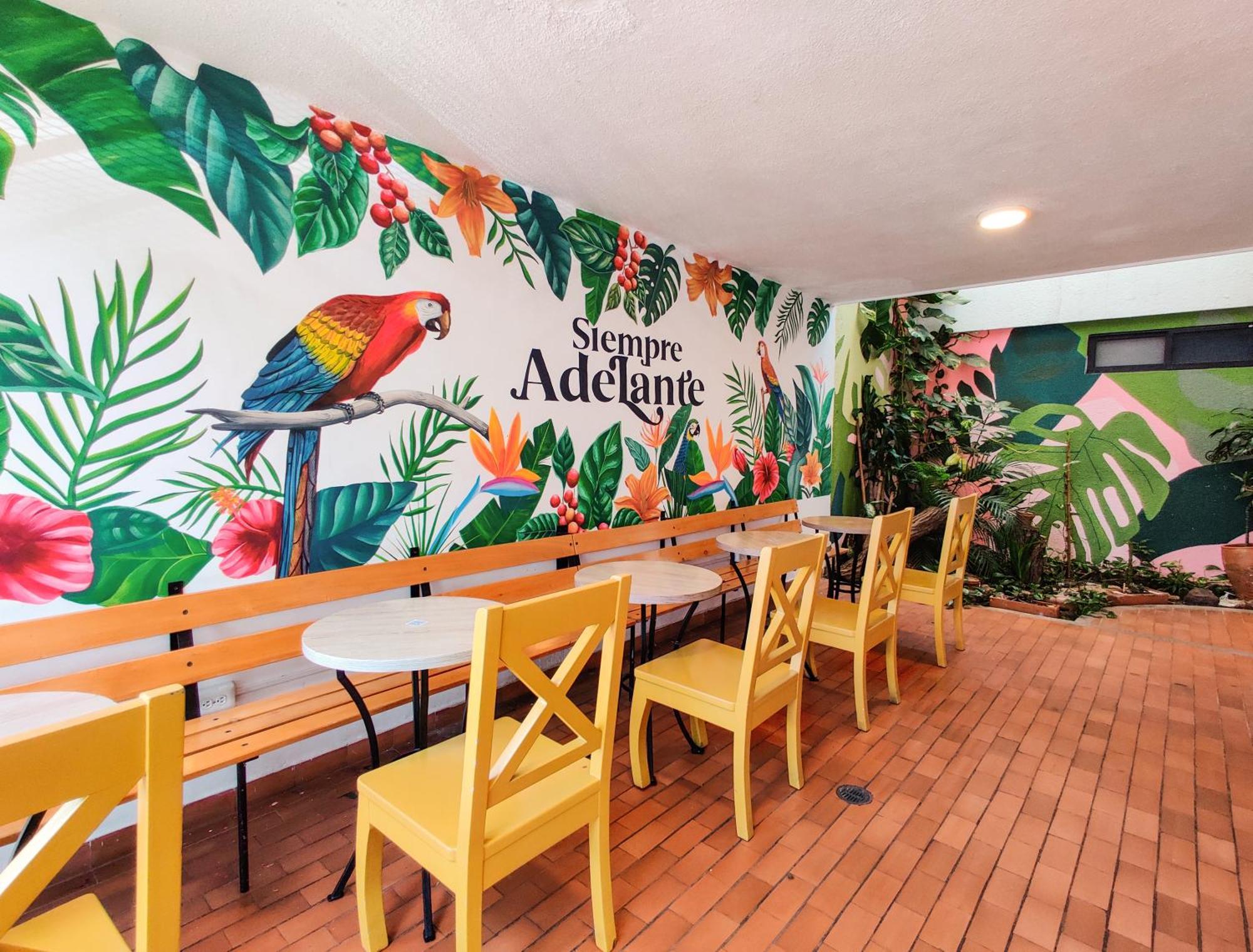 Zamia Hostel Bucaramanga Ngoại thất bức ảnh